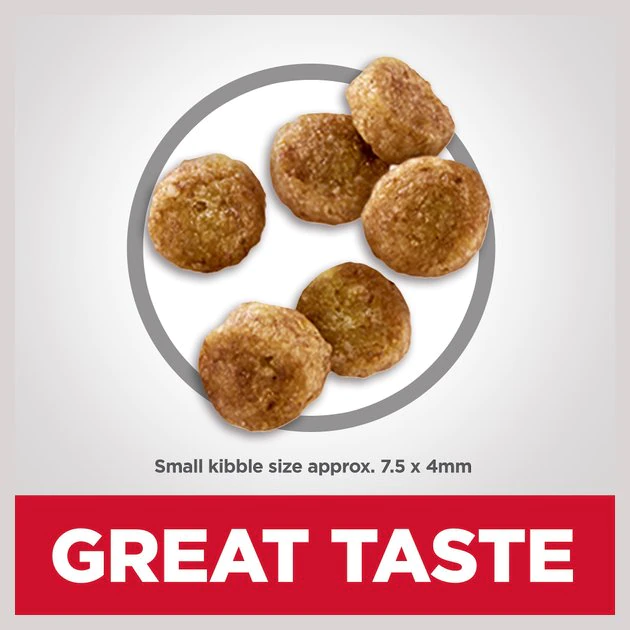 Hill's Science Diet Adult 7+ Senior Vitality Small & Mini Chicken & Rice Recipe Dry Dog Food 3 Hill's Science Diet Adult 7+ Senior Vitality Small & Mini Chicken & Rice Recipe Dry Dog Food - Image 3