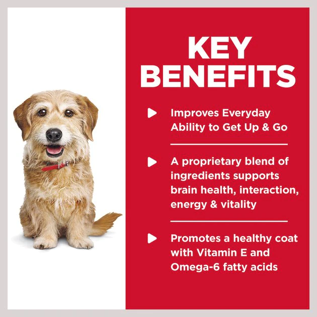 Hill's Science Diet Adult 7+ Senior Vitality Small & Mini Chicken & Rice Recipe Dry Dog Food 4 Hill's Science Diet Adult 7+ Senior Vitality Small & Mini Chicken & Rice Recipe Dry Dog Food - Image 4