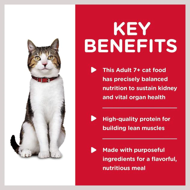 Hill's Science Diet Adult 7+ Savory Chicken Entree Canned Cat Food 4 Hill's Science Diet Adult 7+ Savory Chicken Entree Canned Cat Food - Image 4