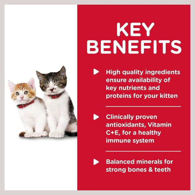 Hill's Science Diet Kitten Savory Salmon Entree Canned Cat Food 4 Hill's Science Diet Kitten Savory Salmon Entree Canned Cat Food - Image 4