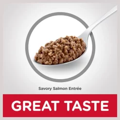 Hill's Science Diet Kitten Savory Salmon Entree Canned Cat Food 14 Hill's Science Diet Kitten Savory Salmon Entree Canned Cat Food -Science Diet || Exotic Nutrition Sales 110296 PT5. SY630 V1598151378