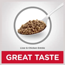 Hill's Science Diet Kitten Liver & Chicken Entree Canned Cat Food -Science Diet || Exotic Nutrition Sales 110297 PT5. SY630 V1598154371