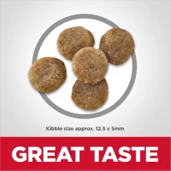 Hill's Science Diet Adult Sensitive Stomach & Skin Grain-Free Salmon & Yellow Pea Recipe Dry Cat Food -Science Diet || Exotic Nutrition Sales 157794 PT2. SY630 V1617658363