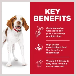 Hill's Science Diet Adult Sensitive Stomach & Skin Grain-Free Chicken & Potato Recipe Dry Dog Food -Science Diet || Exotic Nutrition Sales 157795 PT3. SY630 V1607991486