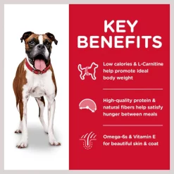 Hill's Science Diet Adult Light With Chicken Meal & Barley Dry Dog Food -Science Diet || Exotic Nutrition Sales 157796 PT4. SY630 V1605838914