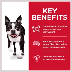 Hill's Science Diet Adult Light Small Bites With Chicken Meal & Barley Dry Dog Food -Science Diet || Exotic Nutrition Sales 157797 PT4. SY630 V1605843716