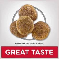 Hill's Science Diet Adult 7+ Small Bites Chicken Meal, Barley & Rice Recipe Dry Dog Food 14 Hill's Science Diet Adult 7+ Small Bites Chicken Meal, Barley & Rice Recipe Dry Dog Food -Science Diet || Exotic Nutrition Sales 157798 PT5. SY630 V1598150776