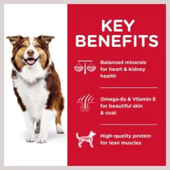 Hill's Science Diet Adult 7+ Chicken Meal, Barley & Brown Rice Recipe Dry Dog Food -Science Diet || Exotic Nutrition Sales 157801 PT3. SY630 V1598143273