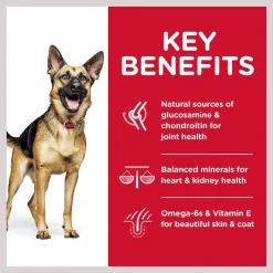 Hill's Science Diet Adult 6+ Large Breed Chicken Meal, Barley & Rice Dry Dog Food 12 Hill's Science Diet Adult 6+ Large Breed Chicken Meal, Barley & Rice Dry Dog Food -Science Diet || Exotic Nutrition Sales 157802 PT3. SY630 V1598146868