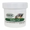 Exotic Nutrition Glider-Cal Calcium Sugar Glider Supplement