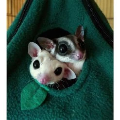 Exotic Nutrition Hangouts Pyramid Nest Small Animal Pouch -Science Diet || Exotic Nutrition Sales 219863 pt3. SY630 V1582042093