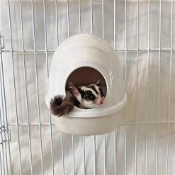 Exotic Nutrition No Mess Press N' Slide Small Animal Feeding Station -Science Diet || Exotic Nutrition Sales 219881 PT4. SY630 V1647461193