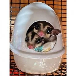 Exotic Nutrition No Mess Press N' Slide Small Animal Feeding Station -Science Diet || Exotic Nutrition Sales 219881 PT5. SY630 V1647460922