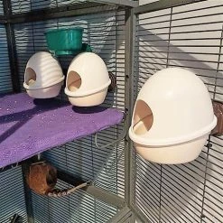 Exotic Nutrition No Mess Press N' Slide Small Animal Feeding Station -Science Diet || Exotic Nutrition Sales 219881 PT6. SY630 V1647461788