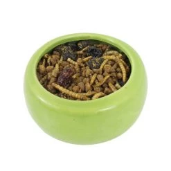 Exotic Nutrition Berries & Bugs Sugar Glider & Hedgehog Food, 1.5-lb bag -Science Diet || Exotic Nutrition Sales 220392 pt2. SY630 V1582041504