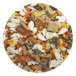 Exotic Nutrition Complete Squirrel Food, 1.75-lb bag -Science Diet || Exotic Nutrition Sales 220396 pt2. SY630 V1582041518