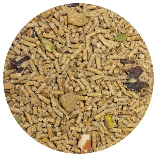 Exotic Nutrition Deluxe Diet Squirrel Food, 2-lb bag 4 Exotic Nutrition Deluxe Diet Squirrel Food, 2-lb bag - Image 4