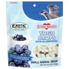 Exotic Nutrition Critter Selects Yogu Drops with Blueberries Small Animal Treats, 4.25-oz bag