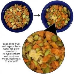 Exotic Nutrition Critter Selects Hedgie Bugs & Veggies Hedgehog Treats, 2.75-oz bag 8 Exotic Nutrition Critter Selects Hedgie Bugs & Veggies Hedgehog Treats, 2.75-oz bag -Science Diet || Exotic Nutrition Sales 220429 PT3. SY630 V1638571591