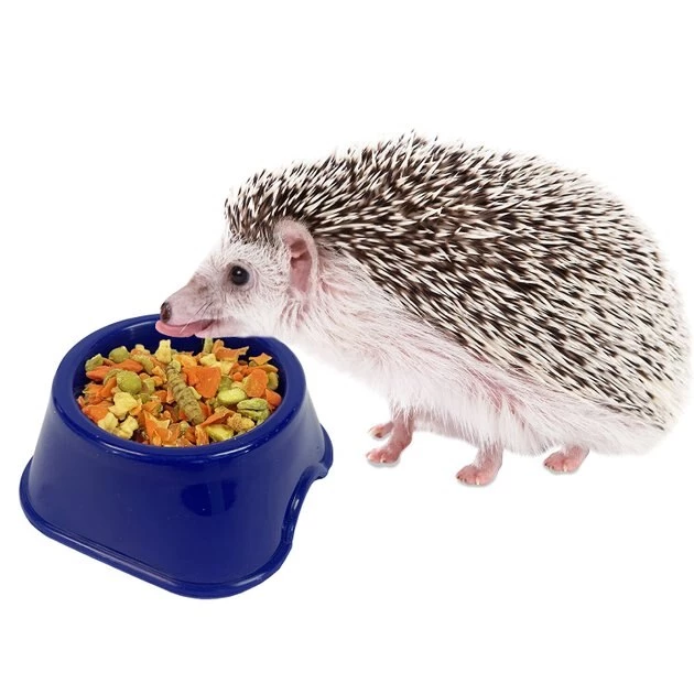 Exotic Nutrition Critter Selects Hedgie Bugs & Veggies Hedgehog Treats, 2.75-oz bag 5 Exotic Nutrition Critter Selects Hedgie Bugs & Veggies Hedgehog Treats, 2.75-oz bag - Image 5