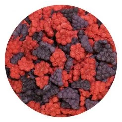 Exotic Nutrition Critter Selects Crunchez Berry Blend Recipe Small Animal Treats, 2.5-oz bag -Science Diet || Exotic Nutrition Sales 220433 pt2. SY630 V1582042094