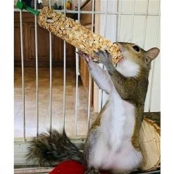 Exotic Nutrition Herbivore Sticks Small Animal Treats, 2 count -Science Diet || Exotic Nutrition Sales 220461 PT2. SY630 V1647460348