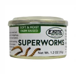 Exotic Nutrition Superworms Hedgehog Treats, 1.2-oz can