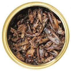 Exotic Nutrition Crickets Hedgehog Treats, 1.2-oz can -Science Diet || Exotic Nutrition Sales 220490 pt2. SY630 V1582041546