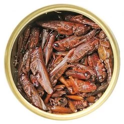 Exotic Nutrition Grasshoppers Hedgehog Treats, 1.2-oz can -Science Diet || Exotic Nutrition Sales 220492 pt2. SY630 V1582041547