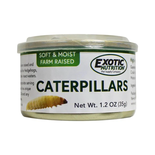Exotic Nutrition Caterpillars Hedgehog Treats, 1.2-oz can 1 Exotic Nutrition Caterpillars Hedgehog Treats, 1.2-oz can