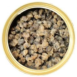 Exotic Nutrition De-Shelled Snails Canned Hedgehog Treats, 1.2-oz can -Science Diet || Exotic Nutrition Sales 220498 pt2. SY630 V1582041791
