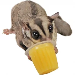 Exotic Nutrition Sugar Glider Food Starter Kit -Science Diet || Exotic Nutrition Sales 247983 PT5. SY630 V1648608983