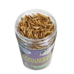 Exotic Nutrition Mealworm Munchies Hedgehog & Sugar Glider Treats, 1.96-oz jar -Science Diet || Exotic Nutrition Sales 289562 PT2. SY630 V1620165166