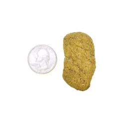 Exotic Nutrition Monkey Biscuits Small Pet Treats, 14-oz bag -Science Diet || Exotic Nutrition Sales 289566 PT3. SY630 V1620164594