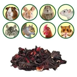 Exotic Nutrition Hibiscus Flower Small Pet Treats, 1-oz bag -Science Diet || Exotic Nutrition Sales 289568 PT3. SY630 V1620167627