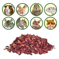 Exotic Nutrition Rose Petals & Buds Small Pet Treats -Science Diet || Exotic Nutrition Sales 289572 PT3. SY630 V1620167342