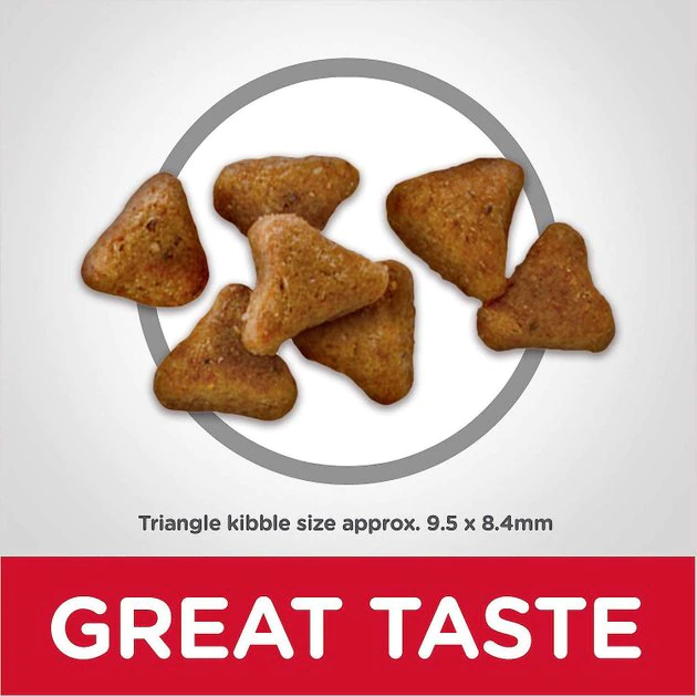 Hill's Science Diet||Inaba Hill's Science Diet Adult Indoor Chicken Recipe Dry Food + Inaba Churu Seafood Puree Grain-Free Lickable Cat Treat 4 Hill's Science Diet||Inaba Hill's Science Diet Adult Indoor Chicken Recipe Dry Food + Inaba Churu Seafood Puree Grain-Free Lickable Cat Treat - Image 4