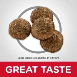 Hill's Science Diet||Hill's Hill's Science Diet Adult Large Breed Lamb Meal & Brown Rice Dry Food + Hill's Natural Soft Savories with Peanut Butter & Banana Dog Treats -Science Diet || Exotic Nutrition Sales 293172 PT3. SY630 V1619977920