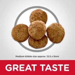 Hill's Science Diet||Hill's Hill's Science Diet Adult Light With Chicken Meal & Barley Dry Food + Hill's Natural Baked Light Biscuits with Real Chicken Dog Treats, Medium -Science Diet || Exotic Nutrition Sales 293182 PT3. SY630 V1620003420