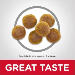 Hill's Science Diet||Inaba Hill's Science Diet Adult Chicken Recipe Dry Cat Food, 16-lb bag + Inaba Churu Grain-Free Chicken Puree Lickable Cat Treat, 0.5-oz tube, pack of 24 -Science Diet || Exotic Nutrition Sales 298086 PT3. SY630 V1621264948