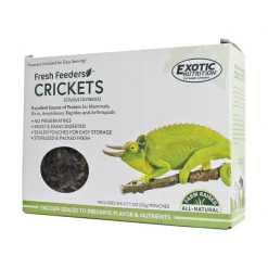 Exotic Nutrition Fresh Feeders Crickets Reptile Food, 5-oz box