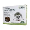 Exotic Nutrition Fresh Feeders Superworms Reptile Food, 5-oz box