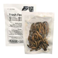 Exotic Nutrition Fresh Feeders Superworms Reptile Food, 5-oz box -Science Diet || Exotic Nutrition Sales 309117 PT1. SY630 V1624658869