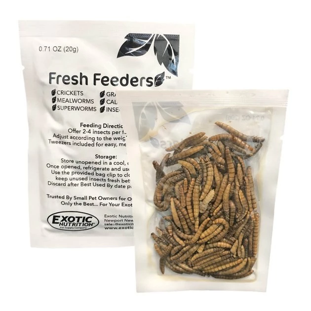 Exotic Nutrition Fresh Feeders Mealworms Reptile Food, 5-oz box 2 Exotic Nutrition Fresh Feeders Mealworms Reptile Food, 5-oz box - Image 2