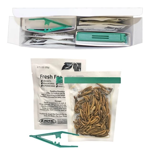 Exotic Nutrition Fresh Feeders Mealworms Reptile Food, 5-oz box 3 Exotic Nutrition Fresh Feeders Mealworms Reptile Food, 5-oz box - Image 3