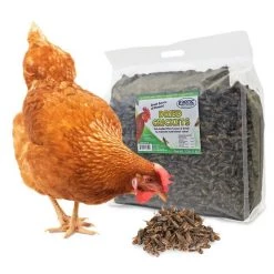 Exotic Nutrition Dried Crickets Small Animal Treats, 2.2-lb bag -Science Diet || Exotic Nutrition Sales 309123 PT2. SY630 V1624660671