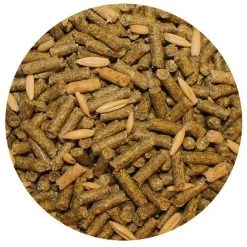 Exotic Nutrition Degu Complete Food, 4-lb bag 5 Exotic Nutrition Degu Complete Food, 4-lb bag -Science Diet || Exotic Nutrition Sales 309125 PT2. SY630 V1624660389