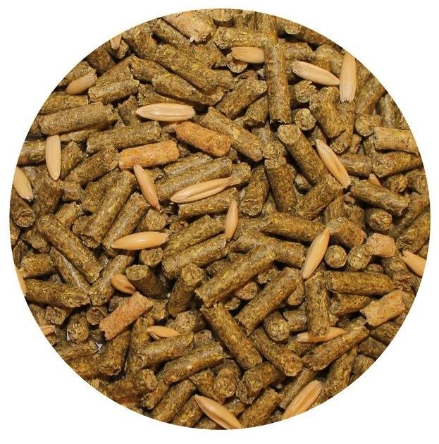 Exotic Nutrition Degu Complete Food, 4-lb bag 3 Exotic Nutrition Degu Complete Food, 4-lb bag - Image 3