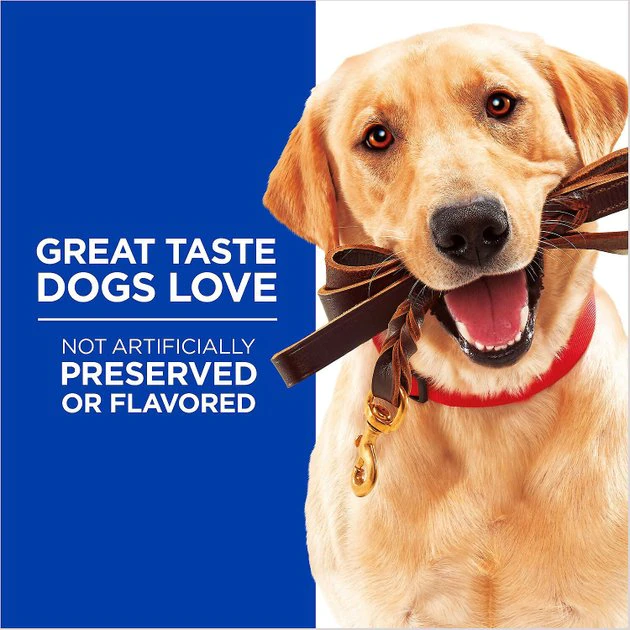 Hill's Natural with Real Chicken Soft & Chewy Training Dog Treats 7 Hill's Natural with Real Chicken Soft & Chewy Training Dog Treats - Image 7