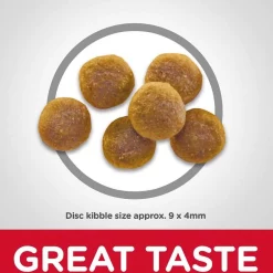 Hill's Science Diet 7+ Senior Vitality Chicken Recipe + Chicken Recipe Dry Cat Food -Science Diet || Exotic Nutrition Sales 338681 PT7. SY630 V1635914984